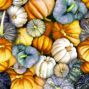 Pumpkin Patch Cotton Fabric: Hoffman Spectrum Digital Print