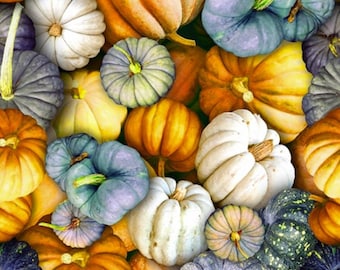 Hoffman Spectrum Digital Print Pumpkin