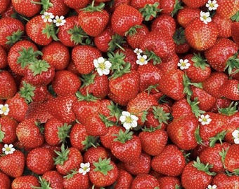 Timeless Treasures BERRY SWEET Packed Sweet Strawberries Red