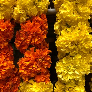 May include: A vertical arrangement of marigold flowers featuring dense, ruffled petals in vibrant shades of bright yellow and deep orange. The flowers are tightly packed together, creating a continuous, textured floral display with no visible stems.