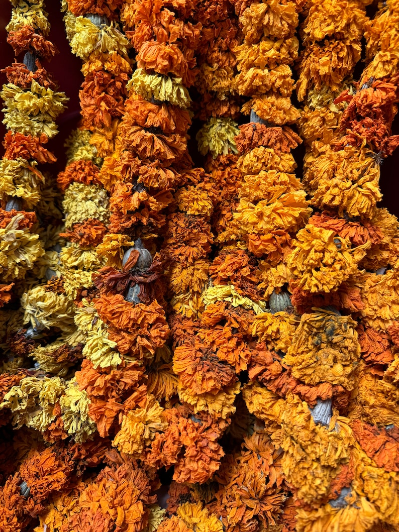May include: Multiple vertical strands of dried marigold flowers in shades of deep orange and bright yellow. The individual blossoms are densely packed along each string, showing a textured, crinkled appearance characteristic of dehydrated petals.