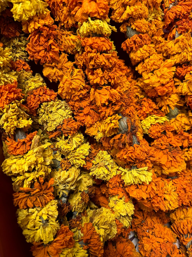 May include: A dense arrangement of dried marigold flowers strung together in long garlands. The petals display a vibrant spectrum of deep orange, burnt orange, and bright yellow hues, creating a textured, layered appearance throughout the composition.