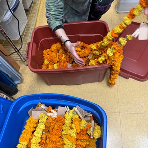May include: A collection of marigold flower garlands in vibrant shades of orange and yellow, stored in large plastic bins. Each garland features individual flower heads strung together, with small beige paper tags attached to the ends of the strands.