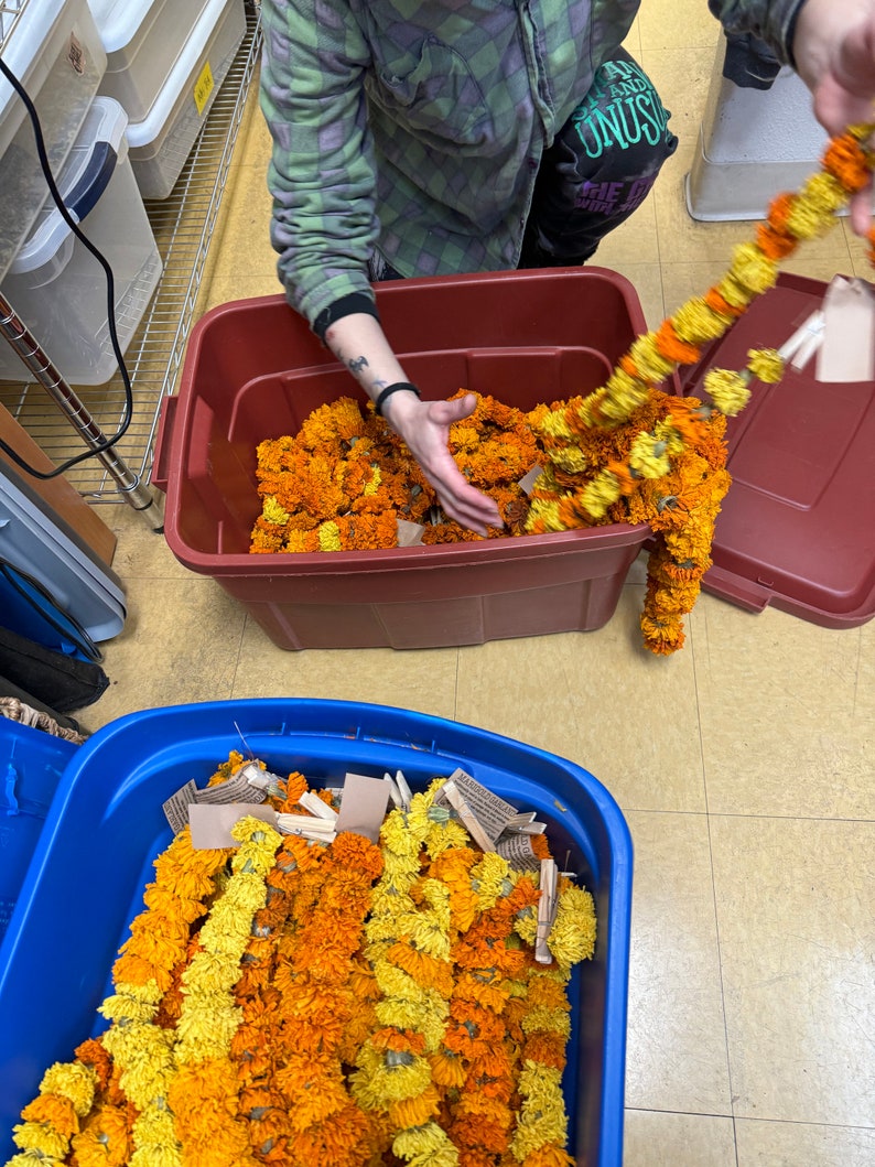 May include: A collection of marigold flower garlands in vibrant shades of orange and yellow, stored in large plastic bins. Each garland features individual flower heads strung together, with small beige paper tags attached to the ends of the strands.