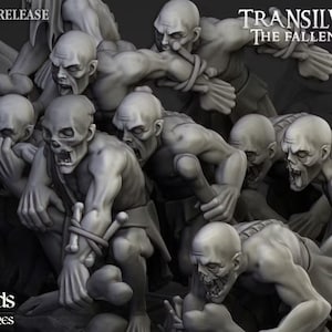 Op de afbeelding: Een verzameling grijze miniatuurfiguren die uitgemergelde, ondode wezens met ingevallen ogen en open monden afbeelden. Sommige figuren houden botten vast die met touw zijn vastgebonden. De tekst "TRANSILVANIA THE FALLEN" is zichtbaar in de rechterbovenhoek.