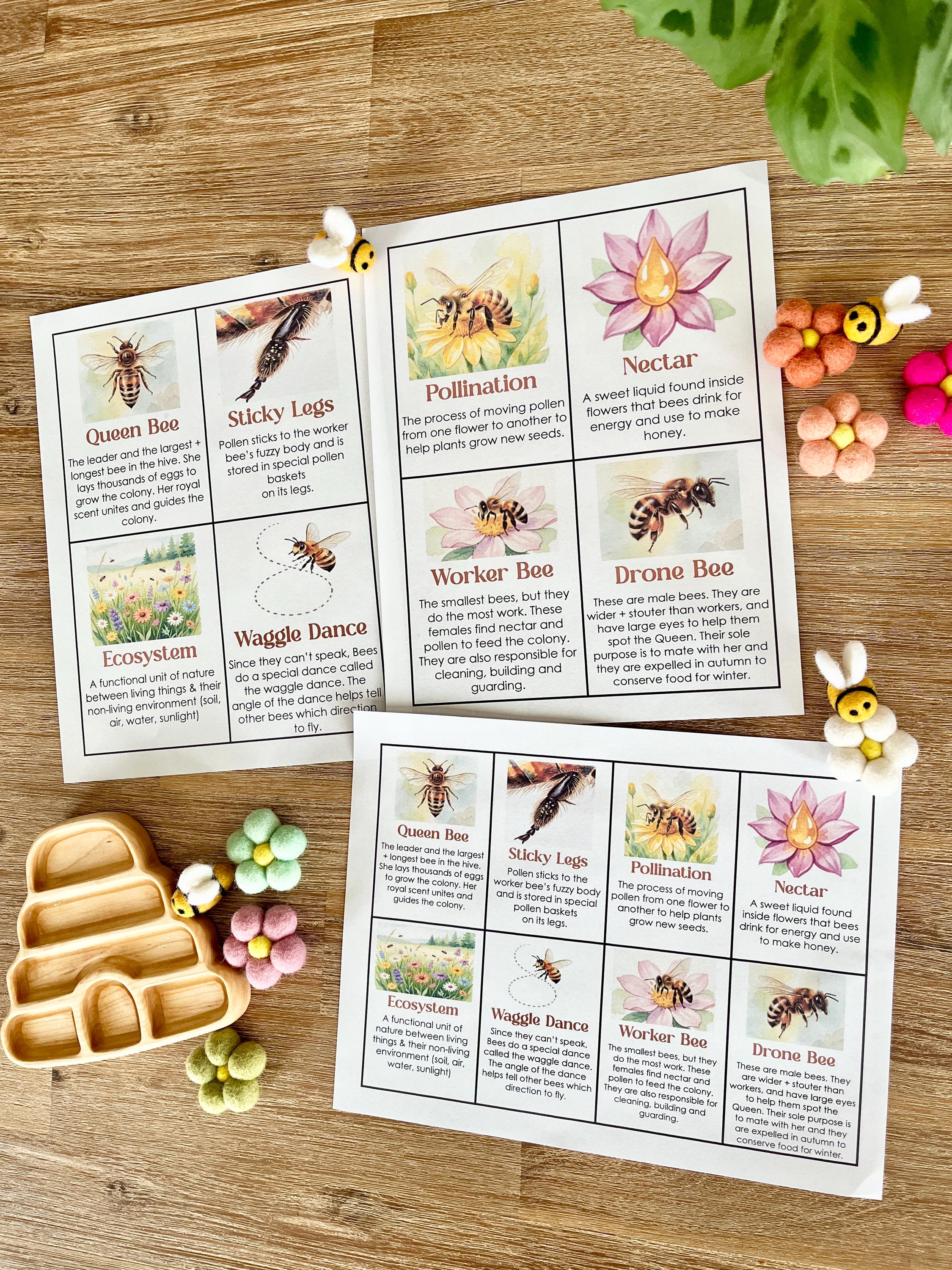 Easy Bees Notes.pdf Bees Informational Flash Cards | Printable PDF | Digital Download ...
