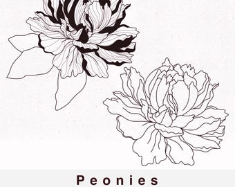 2 Pfingstrosen SVG PNG Bündel, Hochauflösende PNG, Blumen Clipart, Rosen svg, Blumen Form, Blume png, Blumen Schnittdatei, 167