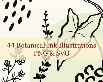Pflanzen SVG PNG Bündel, Abstrakte SVG, Monstera Clipart, ModernSchnittdatei, Farn Vektordatei, Kommerziell Pflanzen svg, 116
