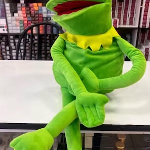 以下が含まれることがあります： 緑色のカーミット・ザ・フロッグのぬいぐるみ。黄色い襟と赤い口があり、足を組んで座っています。背景には、さまざまなヘアケア製品が並んだ棚があります。
