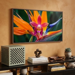 Op de afbeelding: Een ingelijste digitale kunstprint van een paradijsvogelbloem in levendige oranje, roze en paarse tinten hangt boven een donkere houten console. De console heeft decoratieve items, boeken en een kleine vetplant in een pot.