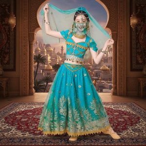 Jasmine Aladdin Costume - Etsy Hong Kong