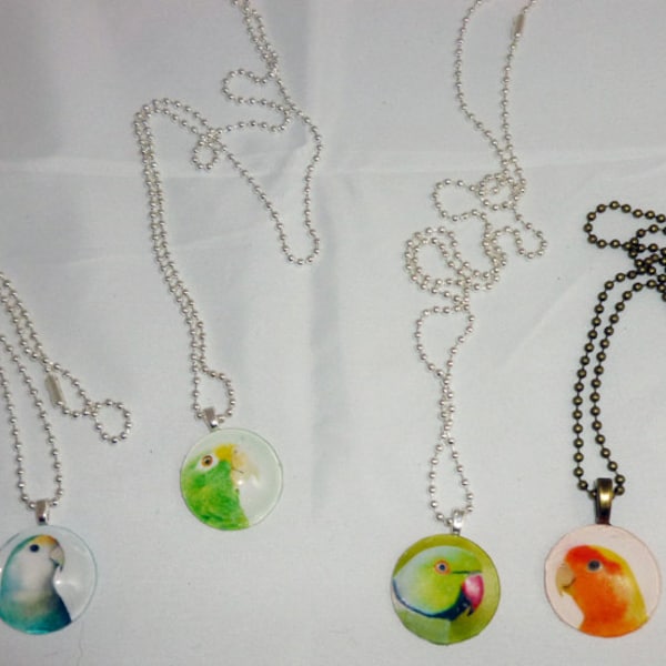 Assorted Parrot Circle Glass Photo Tile Pendants