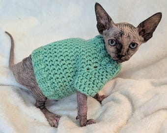 May include: A hairless cat wearing a light green crocheted sweater. The cat is standing on a white fluffy surface.