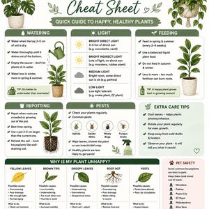 May include: A houseplant care cheat sheet infographic with green and white text. It features sections on watering, light, feeding, repotting, pests, and extra tips. The bottom section explains plant health issues and pet safety for common houseplants.