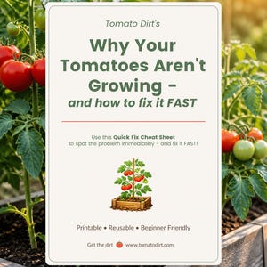 以下が含まれることがあります： Tomato Dirtの「なぜトマトが育たないのか - そして、それをすばやく修正する方法」というタイトルのガーデニングガイド。ガイドにはトマトの植物のグラフィックが掲載されており、庭のトマトの植物に囲まれています。