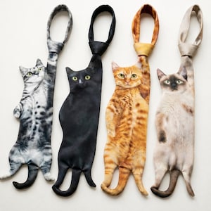 Könnte beinhalten: Vier neuartige Krawatten mit Katzenmotiven. Die Krawatten zeigen eine graue Tabbykatze, eine schwarze Katze, eine orangefarbene Tabbykatze und eine Siamkatze. Jede Krawatte hat den Körper einer Katze aufgedruckt, wobei sich der Kopf der Katze oben und der Körper nach unten erstreckt.