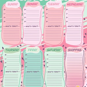 Könnte beinhalten: Ein farbenfroher Wochenplaner mit rosa und grünen Abschnitten für jeden Tag, von Sonntag bis Samstag, sowie eine Einkaufsliste. Jeder Tag hat Platz für Notizen mit den Bezeichnungen B, L, D und S, mit dem Satz "What's Today?" unten.