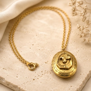 May include: Gold-colored oval locket necklace with a bee design. The locket hangs from a delicate chain and features intricate detailing. The locket is approximately 1.5 inches in length. The necklace rests on a textured, light-colored surface.