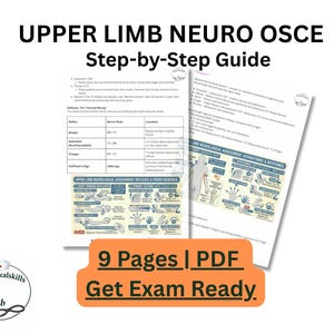 Puede incluir: Un juego de tres tazas de cerámica con un esmalte moteado de color crema. Cada taza presenta un diseño floral pintado a mano en tonos azules, verdes y amarillos. Las tazas tienen una forma simple y redondeada y un asa cómoda.