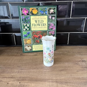 Jarrón de porcelana Aynsley «Wild Tudor»