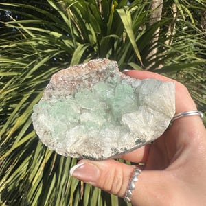 Puede incluir: Una geoda con un centro de cristal verde claro y una capa exterior blanca y marrón. La geoda se sostiene contra un fondo de follaje verde.