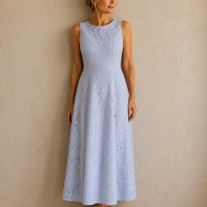ted baker light blue lace dress Ted Baker Diannah Lace Trim Pleated Dress, Blue Light