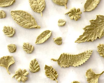 Golosinas para gatos con sabor a plantas, 17 g (0.6 oz)