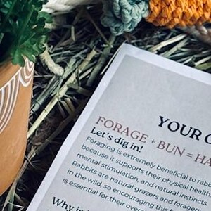 May include: A handmade carrot-shaped pet toy with orange and green sections, lying on a bed of hay. A printed document with text about rabbit foraging is also visible.