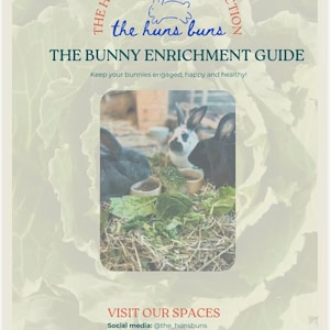 Rabbit Enrichment Guide & Weekly Planner | Printable PDF | The Huns Buns Method