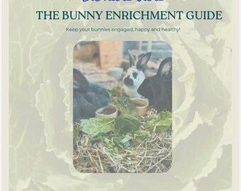 Rabbit Enrichment Guide & Weekly Planner | Printable PDF | The Huns Buns Method