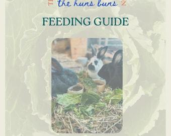 Guía de alimentación para conejos: heno, pienso granulado y verduras (PDF de 2 páginas)