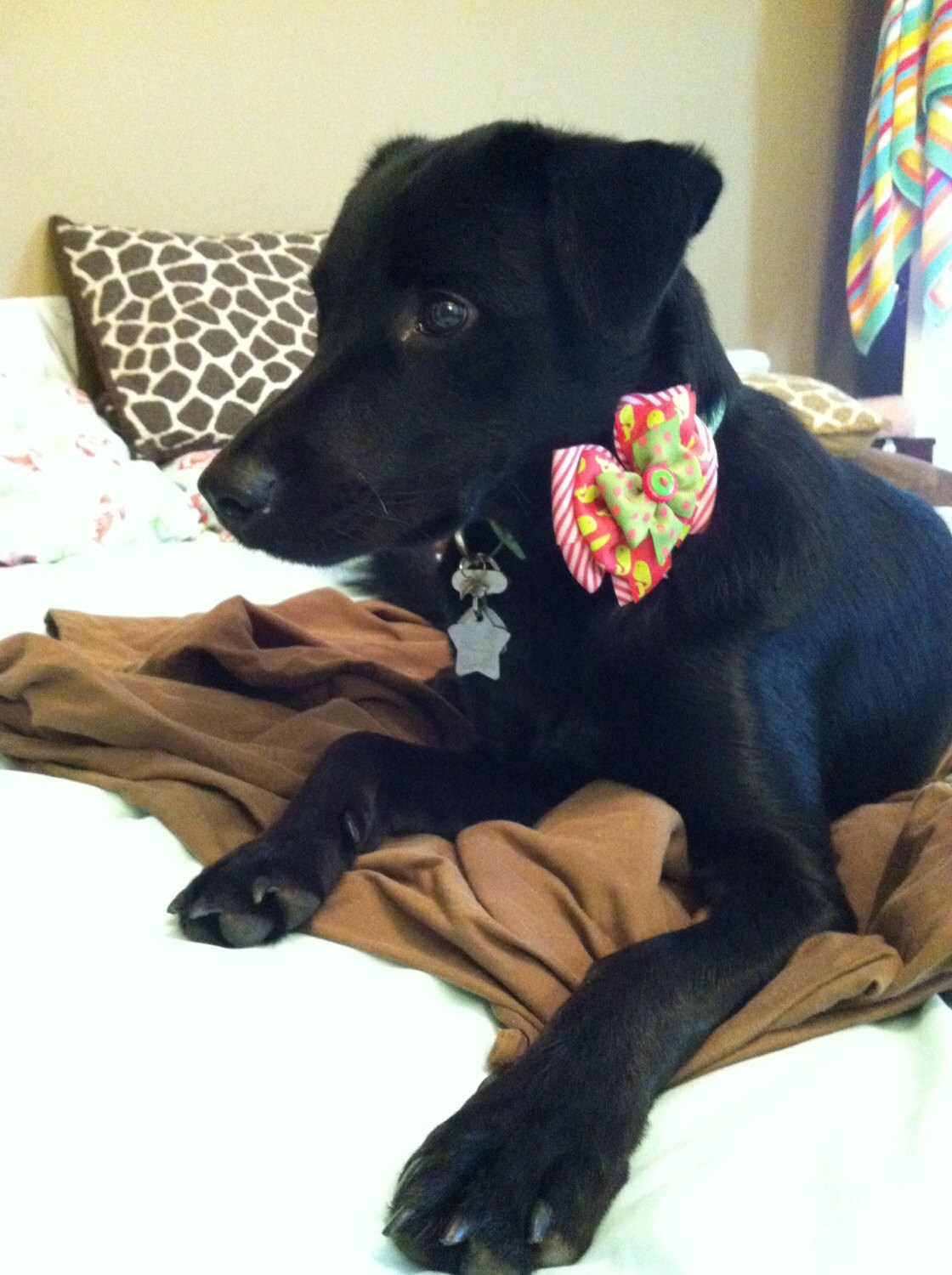 Pink, Hot Pink, Lime, Yellow, Brown, Floral Stacked Boutique Style ...