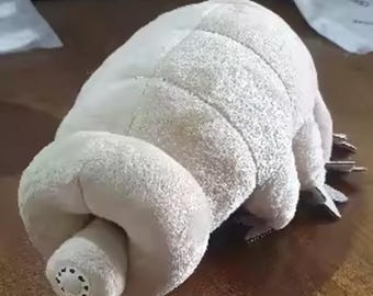 Uroczy pluszowy niesporczak | Pluszowy miś wodny | Kawaii pluszowy miś mikrobiologiczny | Miękki prezent dla naukowego nerda | Unikalna, słodka pluszowa zabawka 25 cm