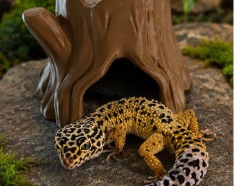Reptile Hide, House, Decor. 3d printed House for your invertebrate or cold blooded friend.