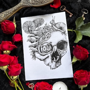 Nature Skull Art Print