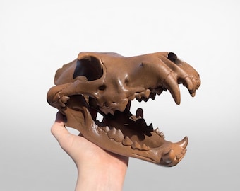 10 Inch Dire Wolf Skull Replica – 3D Printed and Hand-Painted Ice Age Fossil Decor