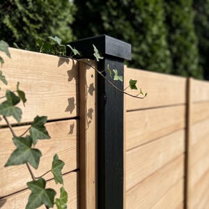 May include: A horizontal wood fence featuring light brown cedar planks and a vertical black post with a matching black square cap. A green ivy vine with small leaves grows across the front of the fence, casting shadows on the wood surface.