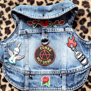 May include: A blue denim dog vest with punk rock patches. The vest has patches of a winged guitar, a flaming bottle, and roses. The text "Punks Not Dead" is on a circular patch. Silver studs and a metal ring complete the design.