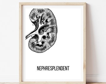 NEPHRESPLENDENT Nephrologist Doctor Gift Medical Wall Art Print, Downloadable Art, Digital Art, Printable Art