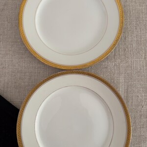 May include: Two round white ceramic plates featuring a wide gold-colored rim with a detailed embossed wheat-like pattern. Each plate has a smooth, plain white center and a thin, subtle gold-colored circular line accenting the inner border.