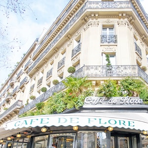 Foto Parijs, Cafe de Flore, kunst aan de grote muur, decor Parijs, kunst aan de muur Parijs, decor Franse keuken, reisfoto