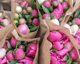 France Fine Art Photo - Peonies in Strasbourg market, French Home Decor, Large Wall Art, France Art Print, Travel Photography,Alsace