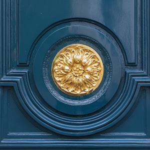 May include: A gold-colored, ornate, circular design with a floral pattern is set against a teal blue background. The design is surrounded by concentric circles.