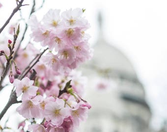 Fotografía de París: flores rosas en el Sacre Coeur, primavera en París, arte mural grande, decoración del hogar francesa