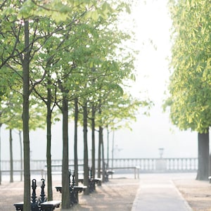 Paris Garten Fotografie, Morgenlicht, Jardin du Luxembourg, Große Wandkunst, Französische Kunst, Frankreich