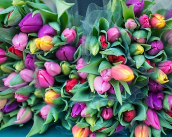 Photographie de fleurs de Paris - Décor de cuisine, Tulipes au marché de Paris, Français photographie de voyage, Grand Art mural