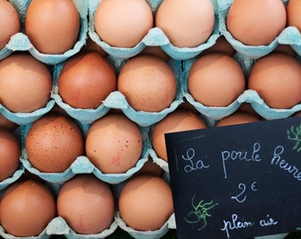 Paris Food Photography - Fresh Eggs at Paris Market, French Kitchen Decor, Large Wall Art