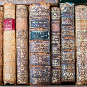 Paris Photography, Vintage Books, Fine Art Photograph, French Decor, Large Wall Art, Urban Wall Decor, Paris Wall Art