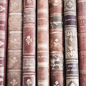 Vintage Leder Bücher in Paris, Paris Fotografie, Paris Markt, French Home Decor, große Wand Kunst
