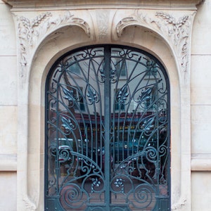Paris Architecture Photography - Art Nouveau Iron Door, Fine Art Travel Print, Large Wall Art, French Home Decor
